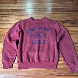 Walt Disney World parks grumpy Graphic‎ Pullover Sweatshirt - Adult S